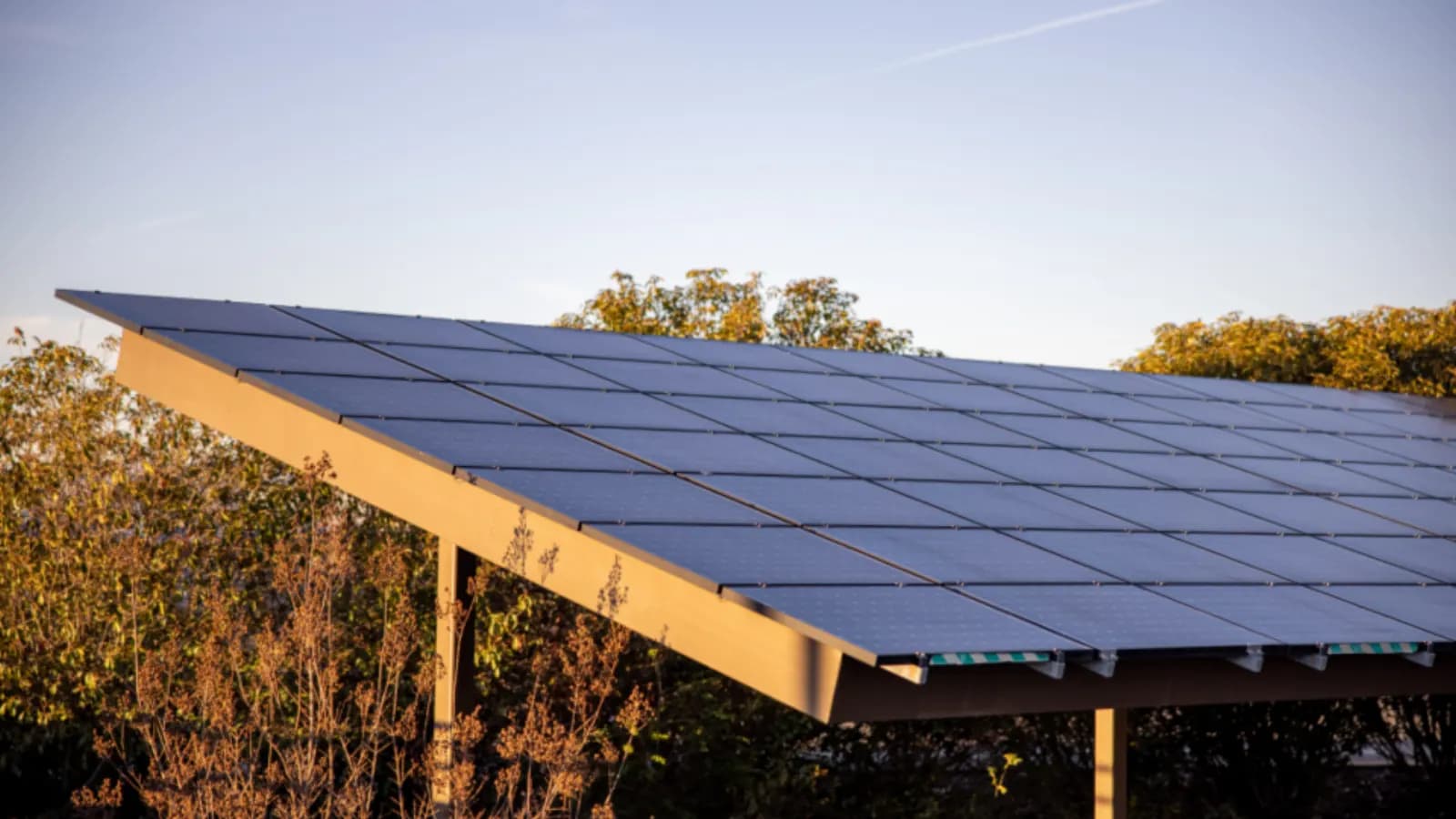 Rows of solar panels on a frame against a clear evening sky